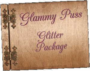 Glam Fairy Glammy Puss Package