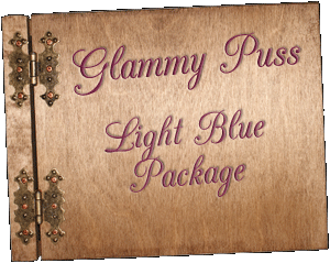 Glam Fairy Glammy Puss Package