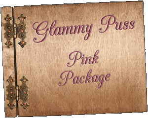 Glam Fairy Glammy Puss Package